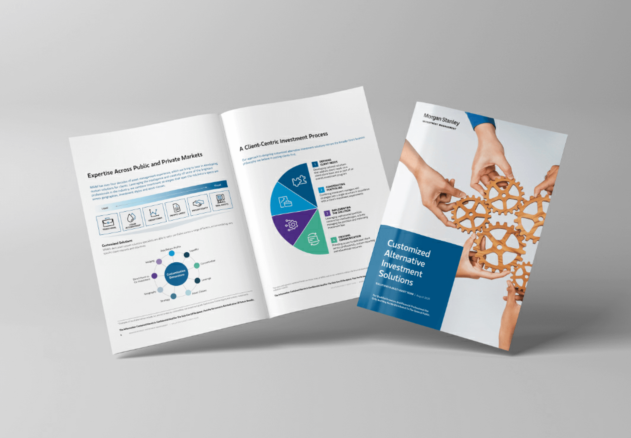 Custom Alternatives Brochure